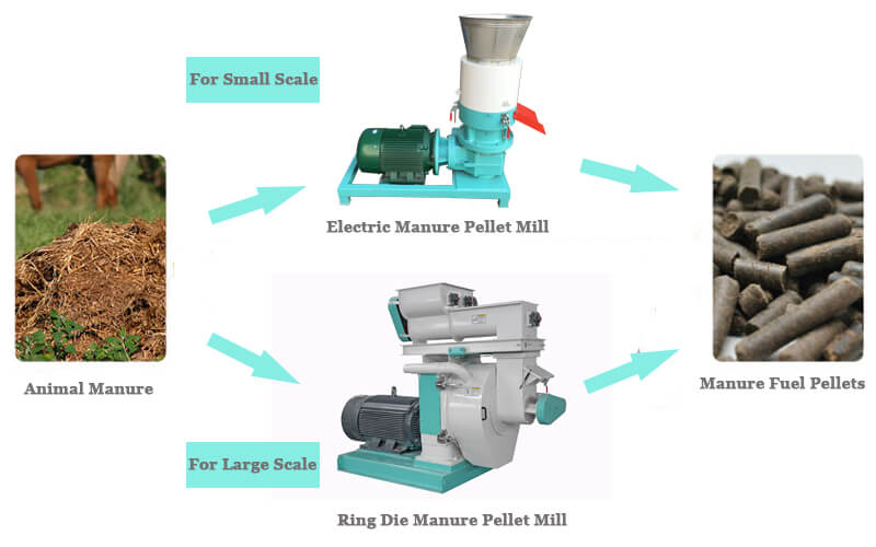 Animal Manure for Making Fuel Pellets